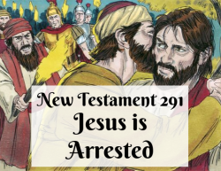 NT 291 - Jesus is Arrested